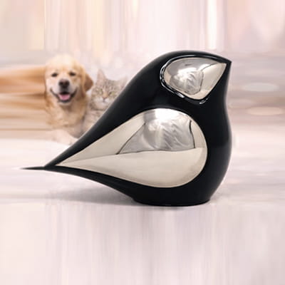 Pet Urns
